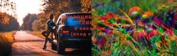 MDMA Premium VHQ Краснослободск