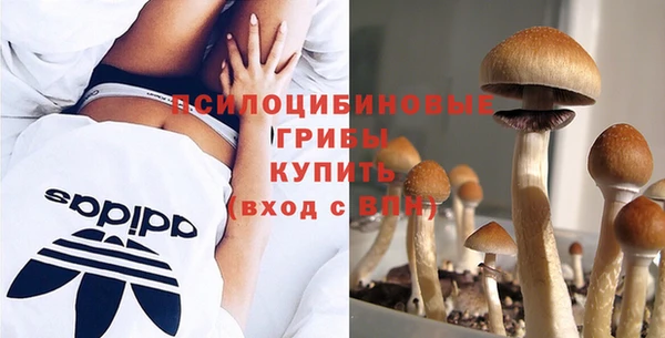 MDMA Premium VHQ Краснослободск